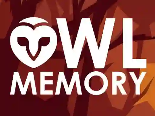 Žaidimas Owl Memory internete