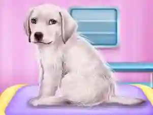 Žaidimas Labrador at the doctor salon internete