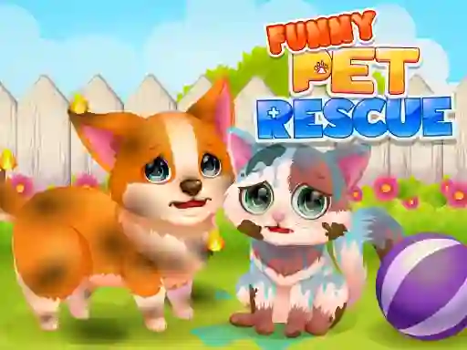 Žaidimas Funny Rescue Pet internete