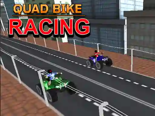 Žaidimas Quad Bike Racing internete