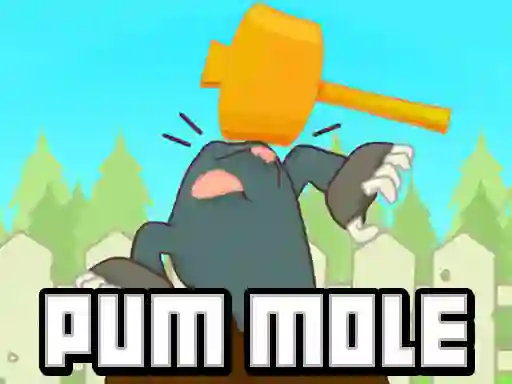 Žaidimas Pum-Mole internete