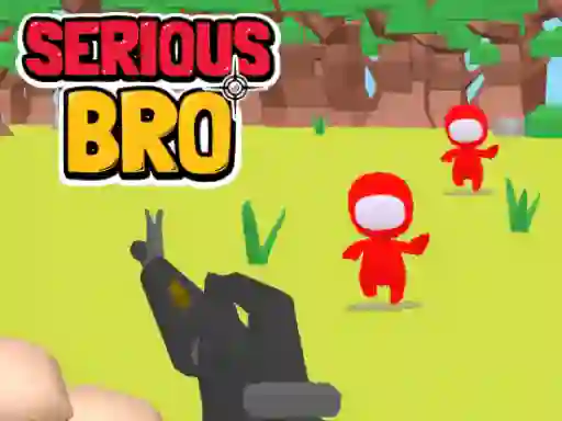 Žaidimas Serious Bro internete
