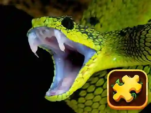 Žaidimas Snake Puzzle Challenge internete