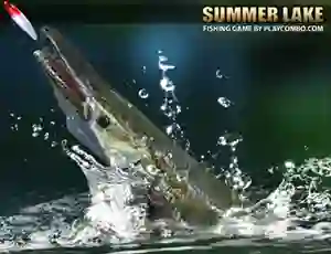 Žaidimas Summer Lake internete