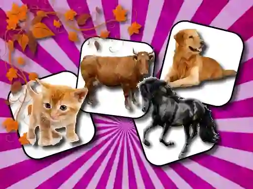 Žaidimas Domestic Animal Memory Challenge internete
