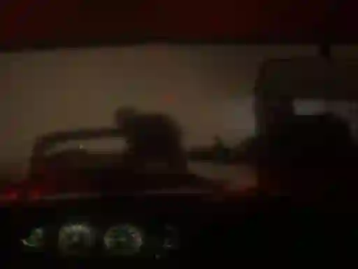 Žaidimas Spooky Jungle Safari internete