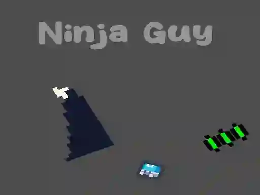 Žaidimas Ninja Guy internete