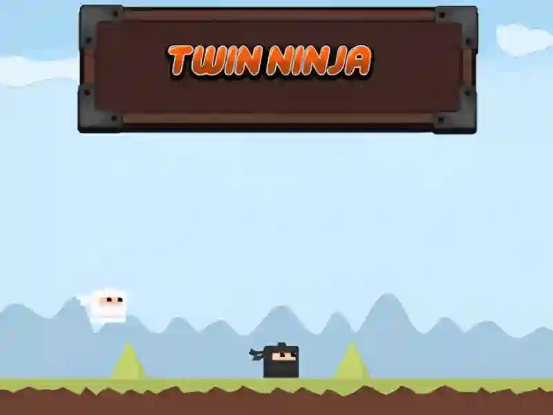 Žaidimas Twin Ninja internete