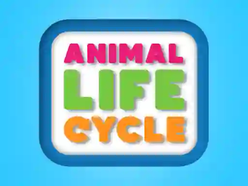 Žaidimas Animal Life Cycle internete