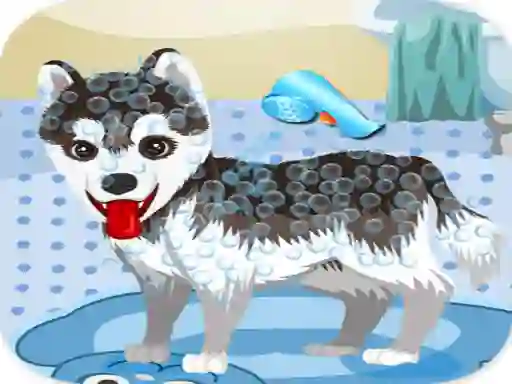 Žaidimas My Cute Dog Bathing internete
