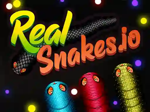 Žaidimas Real Snakes.io internete