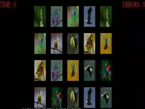 Žaidimas Memorize the birds internete