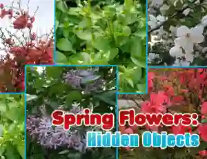 Žaidimas Spring Flowers: Hidden Objects internete