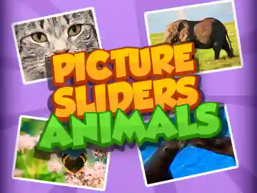 Žaidimas Picture Slider Animals internete