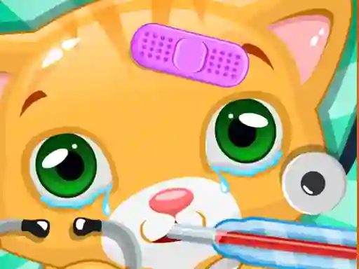 Žaidimas Little Cat Doctor internete