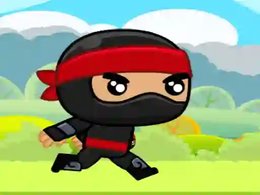 Žaidimas Ninja internete