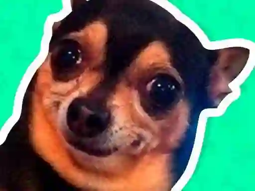 Žaidimas What meme dog are you ? internete