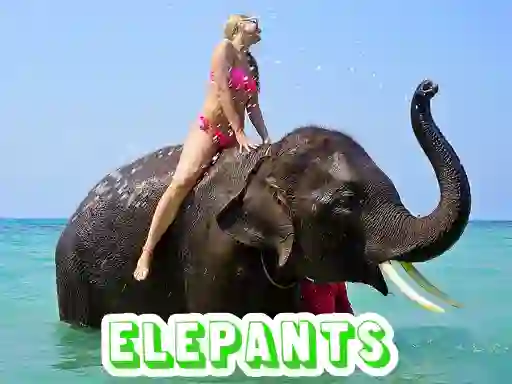 Žaidimas Elephants Puzzle internete