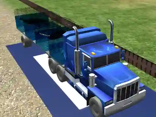 Žaidimas Sea Animal Transport internete