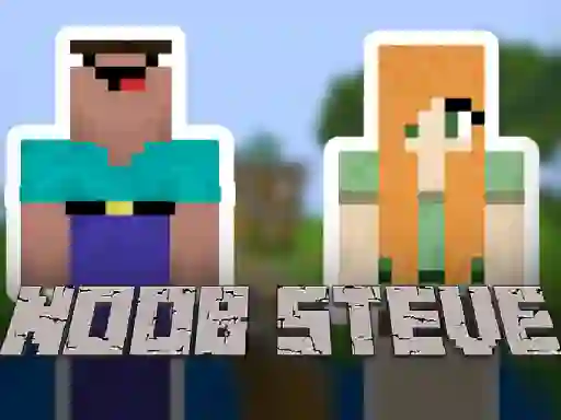 Žaidimas Noob Steve internete