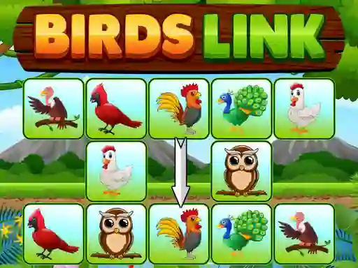 Žaidimas Birds Link internete