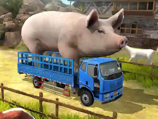 Žaidimas Driver Master Simulator internete