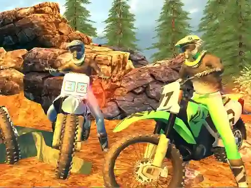 Žaidimas Offroad Motorcycle Bike Racing 2020 internete