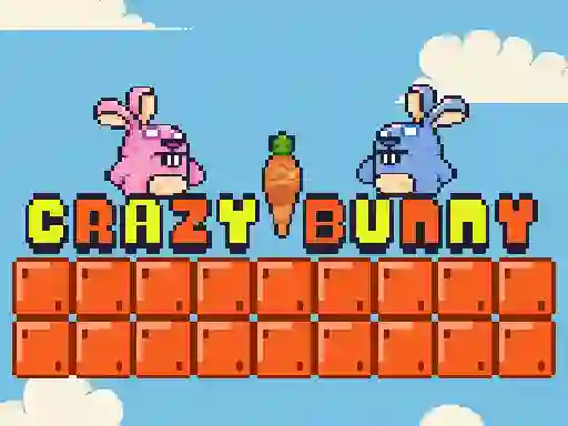 Žaidimas Crazy Bunny internete