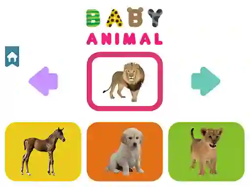 Žaidimas Baby Animal internete
