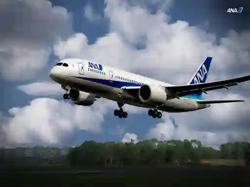 Žaidimas Boeing Dreamliner Puzzle internete