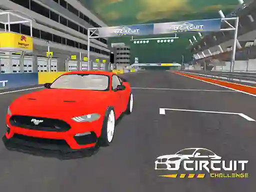 Žaidimas Circuit Challenge internete