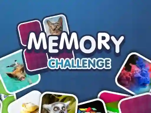 Žaidimas Memory Challenge internete