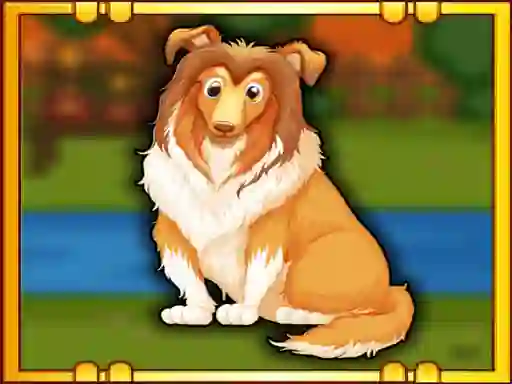 Žaidimas Bernese Mountain Dog Escape internete