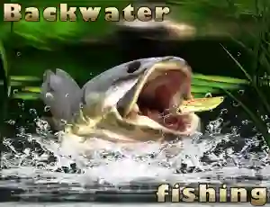 Žaidimas Backwater Fishing internete