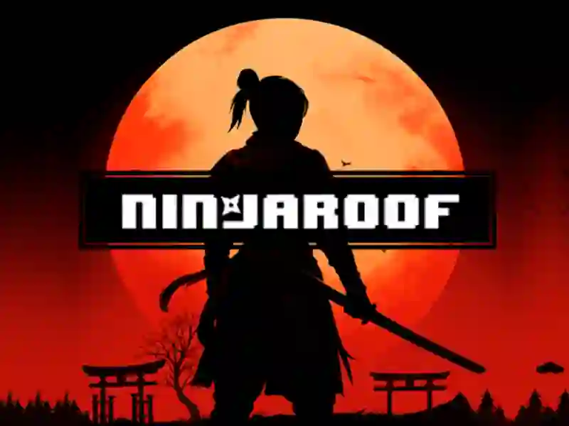 Žaidimas Ninja Roof internete