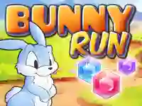 Žaidimas Bunny Run internete