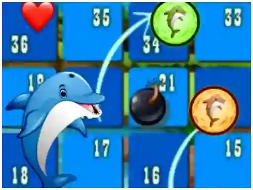 Žaidimas Dolphin Dice Race internete