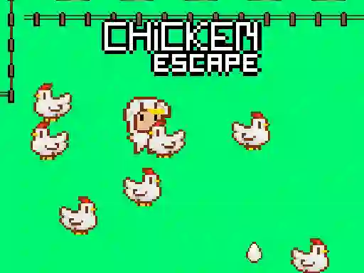 Žaidimas Chicken Escape internete