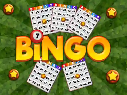 Žaidimas Bingo internete