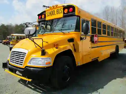 Žaidimas School Buses Puzzle internete