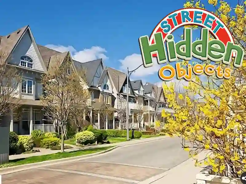 Žaidimas Street Hidden Objects internete