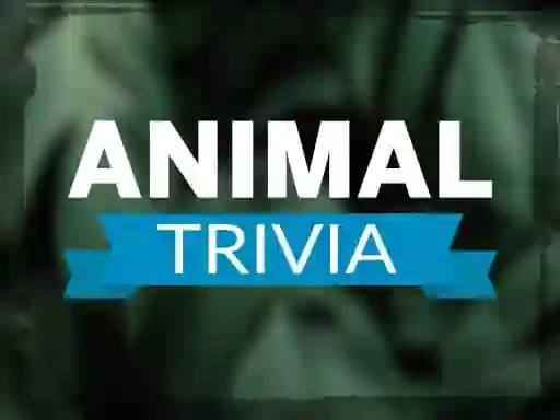 Žaidimas Animal Trivia internete