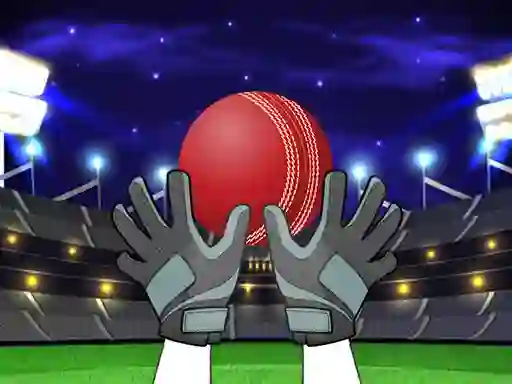 Žaidimas Catch The Balls internete