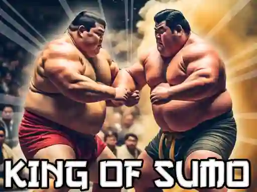 Žaidimas King Of Sumo the ultimate brawl internete