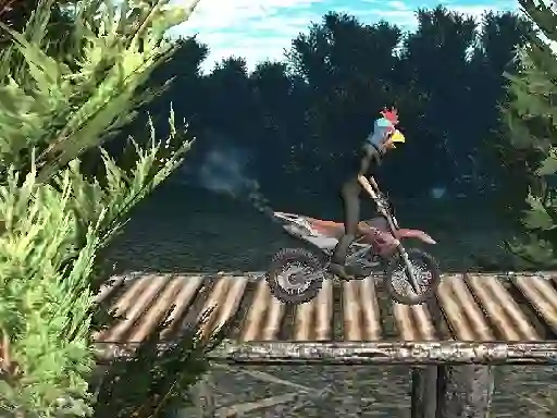 Žaidimas Bike Trial Xtreme Forest internete
