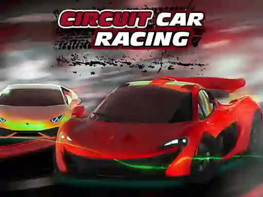 Žaidimas Circuit Car Racing internete