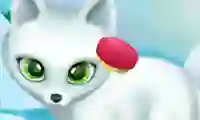 Žaidimas Paws to Beauty Arctic Edition internete