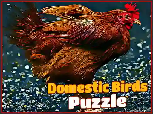 Žaidimas Domestic Birds Puzzle internete