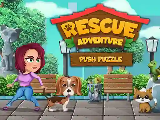 Žaidimas Rescue Adventure Push Puzzle internete