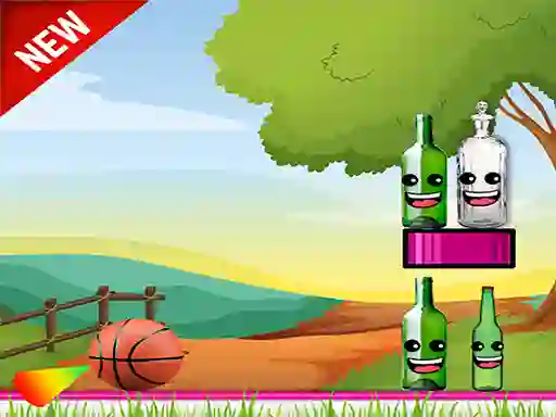 Žaidimas Bottle Shooter internete